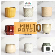 Load image into Gallery viewer, Mini Flowerpots (Series 10) 10cm
