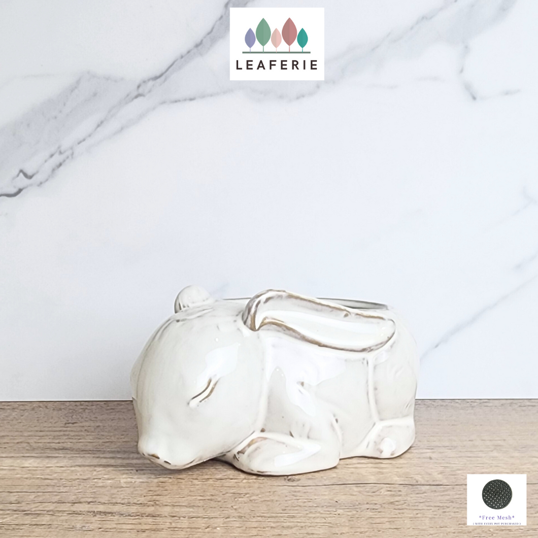 The Leaferie Trudie rabbit/ bunny flowerpot. ceramic material
