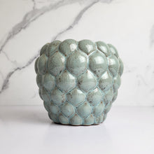 Load image into Gallery viewer, The Leaferie Nani ceramic pot. 2 colours. grey and green. front view of pot B
