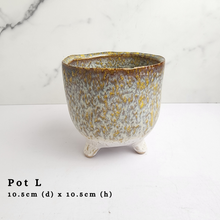 Load image into Gallery viewer, The Leaferie AS-Is May 2024. 12 pieces ceramic pots
