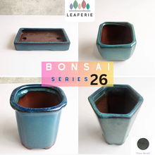 Load image into Gallery viewer, Bonsai Flowerpot (Series 26) Blue Theme
