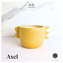 Load image into Gallery viewer, Axel Flowerpot
