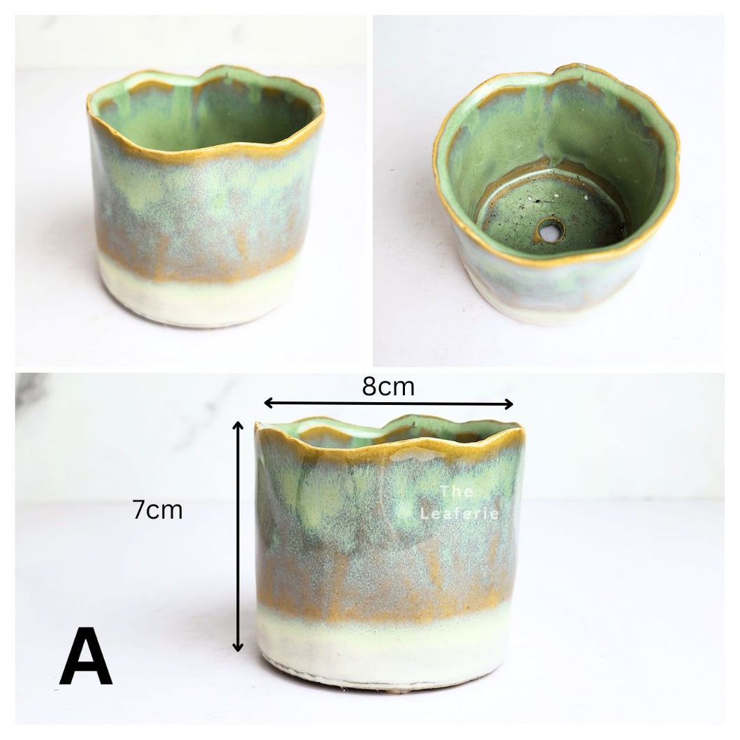 Petit Flowerpots (Series 18)