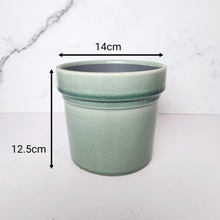 Load image into Gallery viewer, The Leaferie Azza Pot . 3 colours ceramic flowerpot
