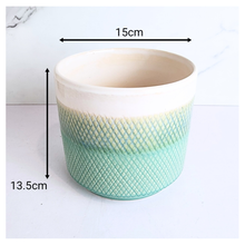 Load image into Gallery viewer, Mistra Teal textured  in a pot with &#39;LEAFAERIE&#39; branding on a white background
