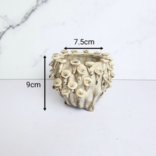 Load image into Gallery viewer, The Leaferie Handmade Moti Flowerpot. ceramic material
