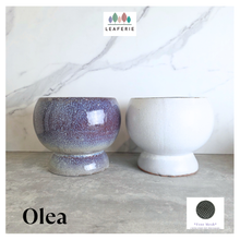 Load image into Gallery viewer, Olea Two ceramic pots with speckled purple glaze and white finish on a marble surface, featuring the Leaferie brand.

