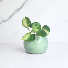 Load image into Gallery viewer, The Leaferie Petit Bonsai series 45. 5 colours ceramic pot for succulents

