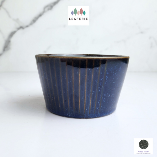 The Leaferie Zaira glossy ceramic blue tray
