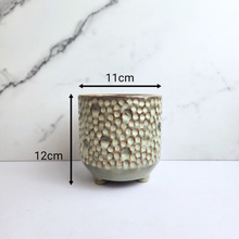 Load image into Gallery viewer, The Leaferie Terra crate ceramic pot with legs
