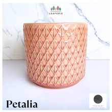 Load image into Gallery viewer, Petalia Decorative pink pot with geometric pattern on a marble background, featuring the brand 'LEAFERIE'.
