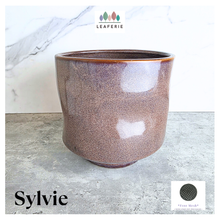 Load image into Gallery viewer, Sylvie Ceramic planter labeled 'Sylvie' on a gray surface with 'LEAFAERIE' branding.
