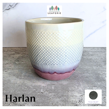 Load image into Gallery viewer, The Leaferie Harlan flowerpot. ceramic material. red base
