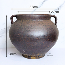 Load image into Gallery viewer, The Leaferie Artemis Flowerpot. Dark colour with gold trims and handle
