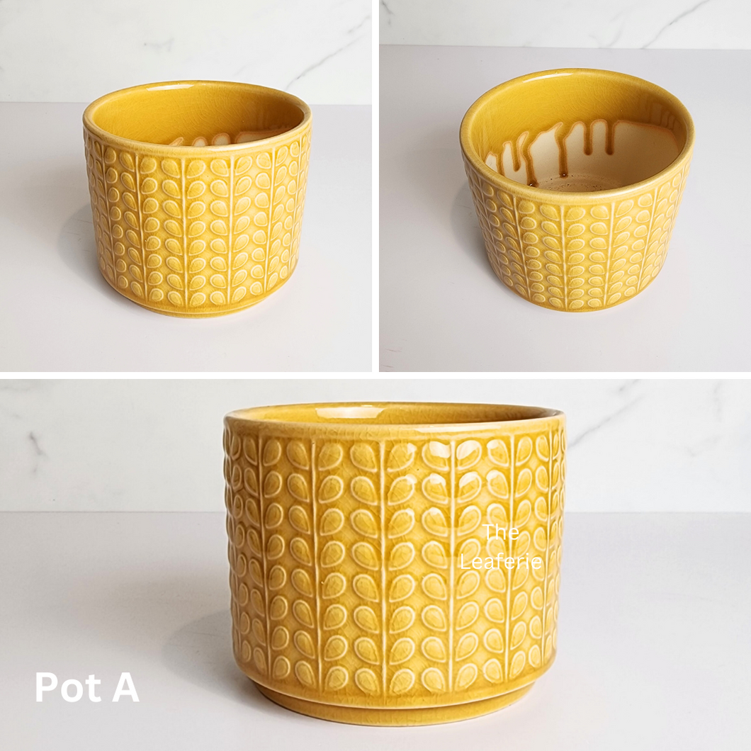 The Leaferie Mini Pots (Series 10). 9 designs. Design A