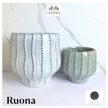 Load image into Gallery viewer, Ruona Flowerpot
