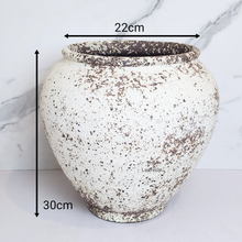 Load image into Gallery viewer, The Leaferie Asteria Big flowerpot. white with brown specks ceramic pot
