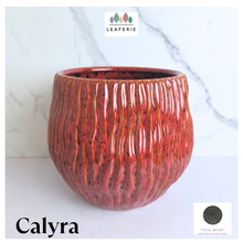 Load image into Gallery viewer, Calyra red ceramic flowerpot by the leaferie
