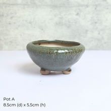 Load image into Gallery viewer, As-is Sept 25. ceramic pots and mugs with Leaferie logo.
