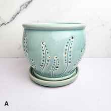 Load image into Gallery viewer, The Leaferie Liane orchid pot with holes and matching tray. ceramic material
