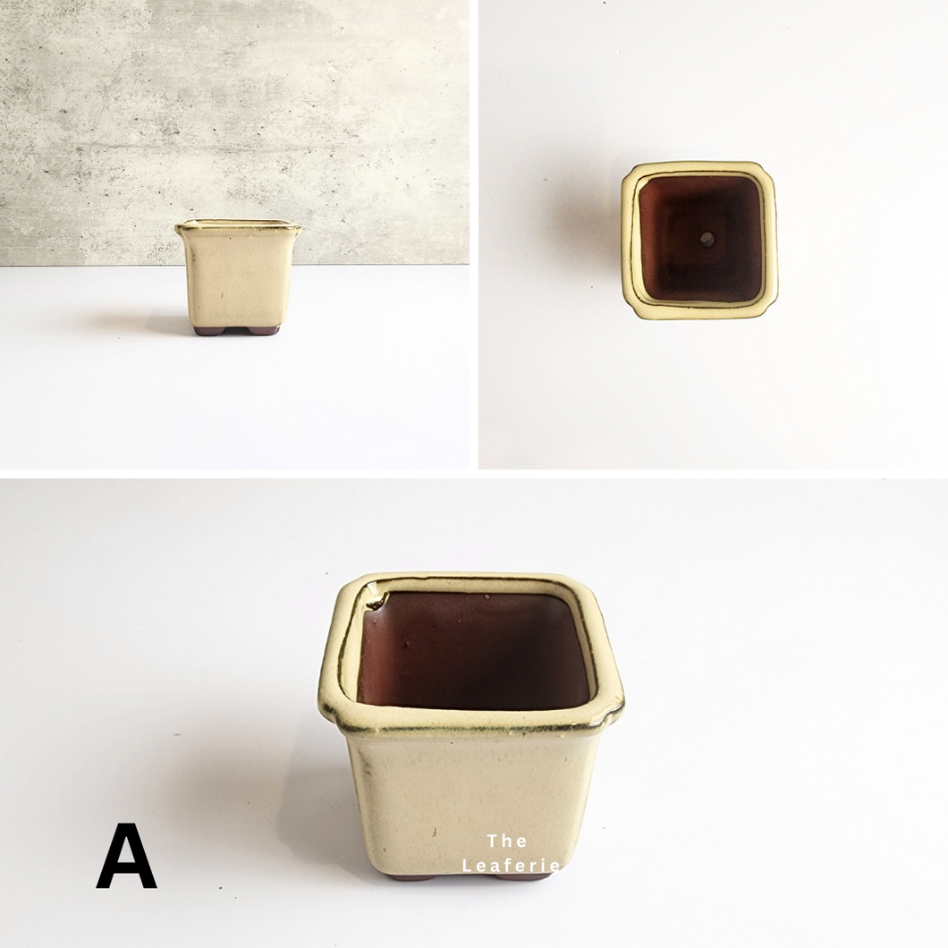 The Leaferie Petit Bonsai series 3 . Beige theme 4 designs . ceramic mini pots. photo of all design A