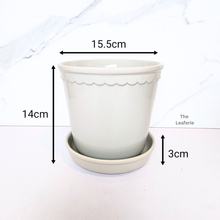 Load image into Gallery viewer, The Leaferie Freja glossy pot with tray. white and ash colour ceramic pot
