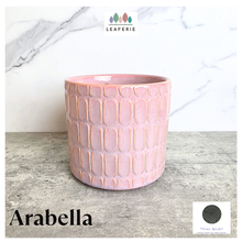 Load image into Gallery viewer, Arabella Pink textured ceramic planter with 'Leaferie' flowerpot
