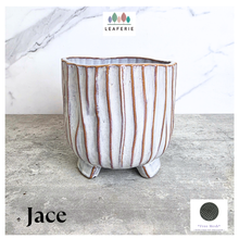 Load image into Gallery viewer, Jace Ceramic planter with striped design on a marble surface, featuring the brand 'LEAFERIE'.
