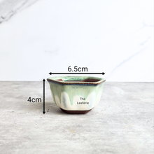 Load image into Gallery viewer, The Leaferie Bonsai 79. Hexagon shape 4 colours ceramic pot
