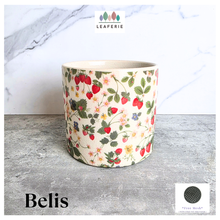 Load image into Gallery viewer, The Leaferie Belis flowerpot. ceramic floral pot
