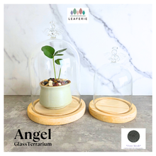 Load image into Gallery viewer, Angel Glass terrarium with a small plant on a wooden base, featuring the Leaferie brand.
