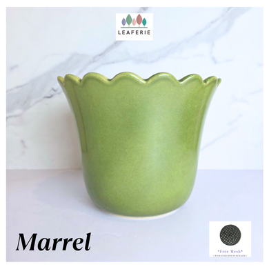 Marrel Green ceramic planter with scalloped edge on a light background, featuring the LEAFERIE brand.
