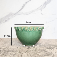 Load image into Gallery viewer, The Leaferie Tadao wide shallow pot. green colour and ceramic material
