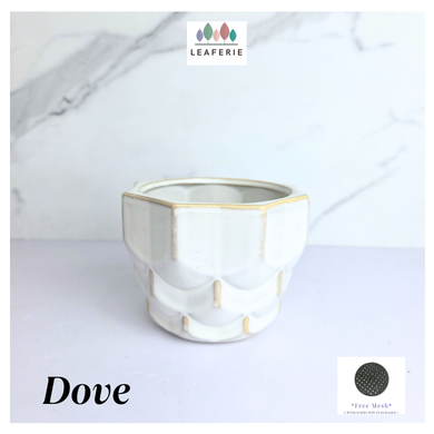 Dove White ceramic planter with gold accents on a light gray background, featuring the Leaferie brand.
