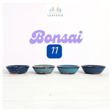Load image into Gallery viewer, Petit Bonsai Flowerpot (Series 11)
