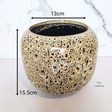 Load image into Gallery viewer, The Leaferie Brooke flowerpot. ceramic material . black and beige colour
