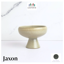 Load image into Gallery viewer, Jaxon Flowerpot
