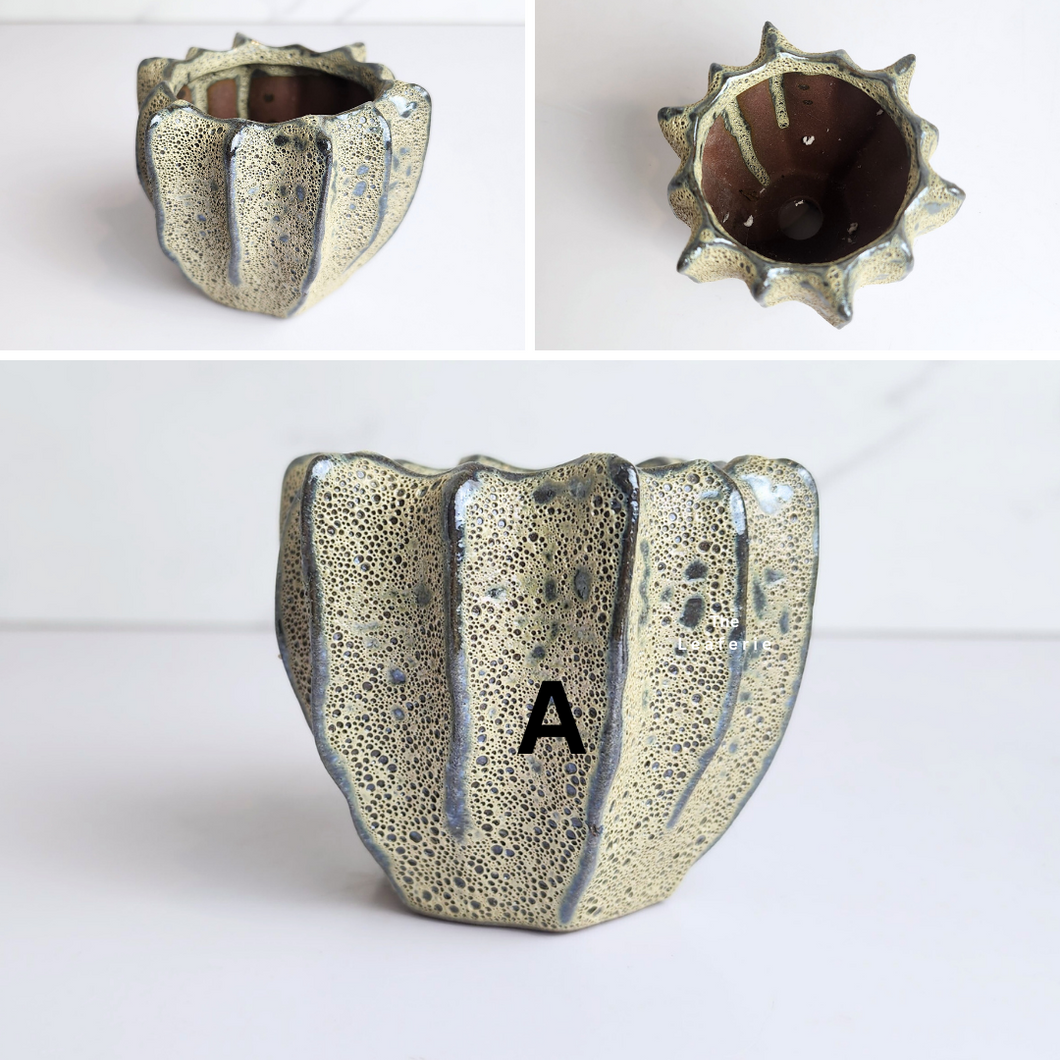 The Leaferie Petit Pots Series 12 . mini small ceramic pot. 9 designs. Design A