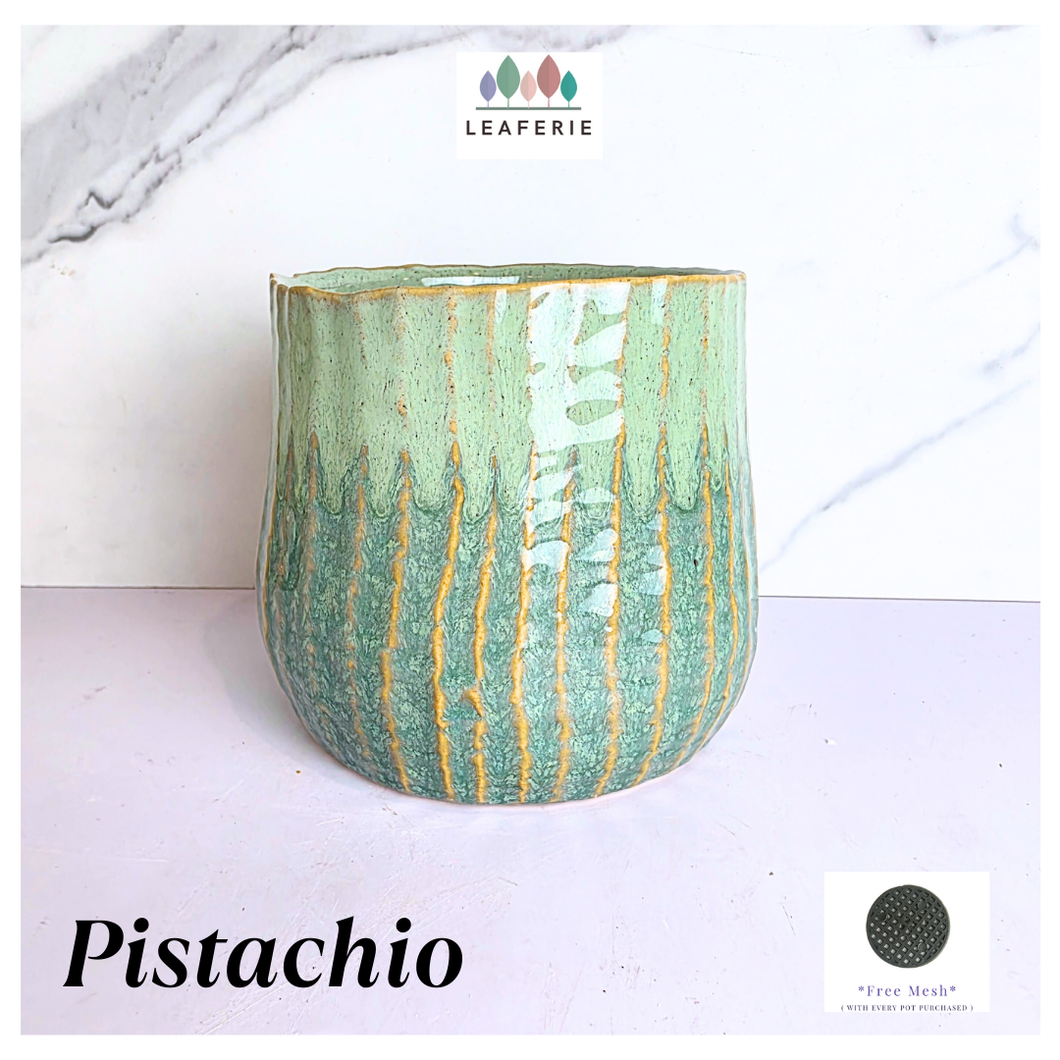 Pistachio Leaferie Green ceramic planter with gold accents on a white background, featuring the Leaferie brand.