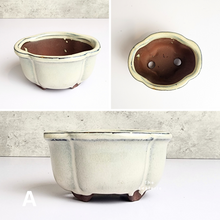 Load image into Gallery viewer, The Leaferie Petit Bonsai Series 1. 2 colours. ceramic mini pot for bonsai. Front view of Design A
