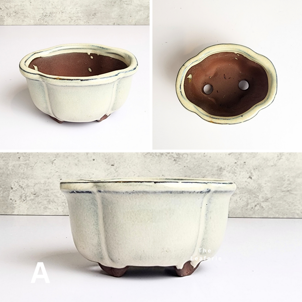 The Leaferie Petit Bonsai Series 1. 2 colours. ceramic mini pot for bonsai. Front view of Design A
