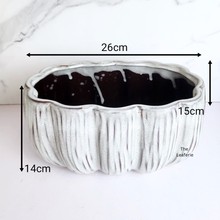 Load image into Gallery viewer, White textured planter with dimensions labeled on a white background

