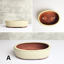 Load image into Gallery viewer, The Leaferie Petit Bonsai Series 14 . oval bonsai pot. 3 colours. ceramic . photo of design A
