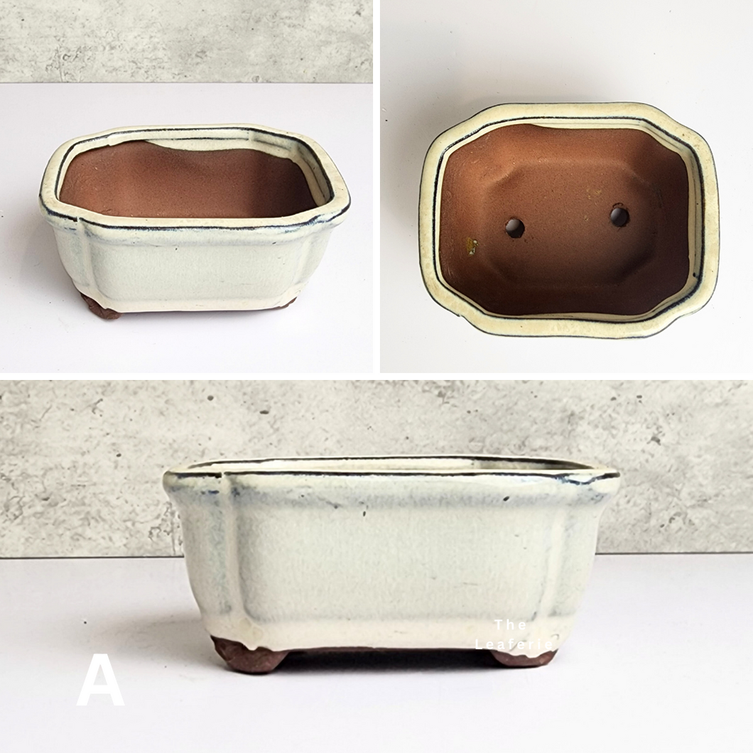 The Leaferie Petit bonsai series 2. 4 colours . ceramic pot. front view of design A
