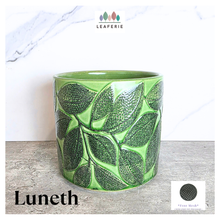 Load image into Gallery viewer, The Leaferie Luneth green floral ceramic pot
