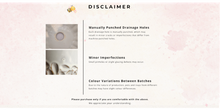 Load image into Gallery viewer, Allie Animal Flowerpots (Series 1)
