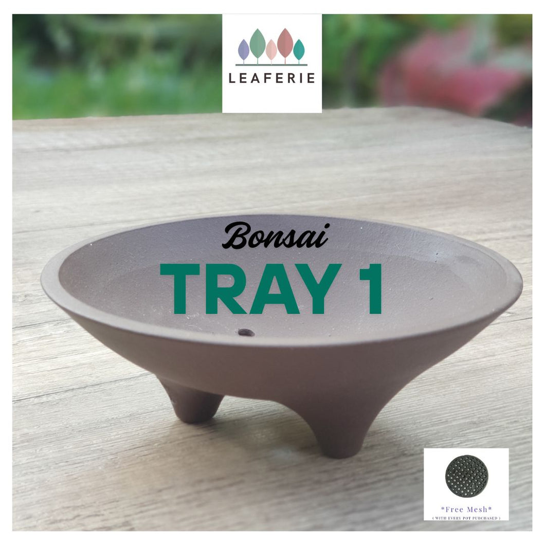 Bonsai Tray / Flowerpot (Series 1)