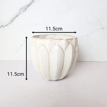 Load image into Gallery viewer, The Leaferie Averly white ceramic pot. 
