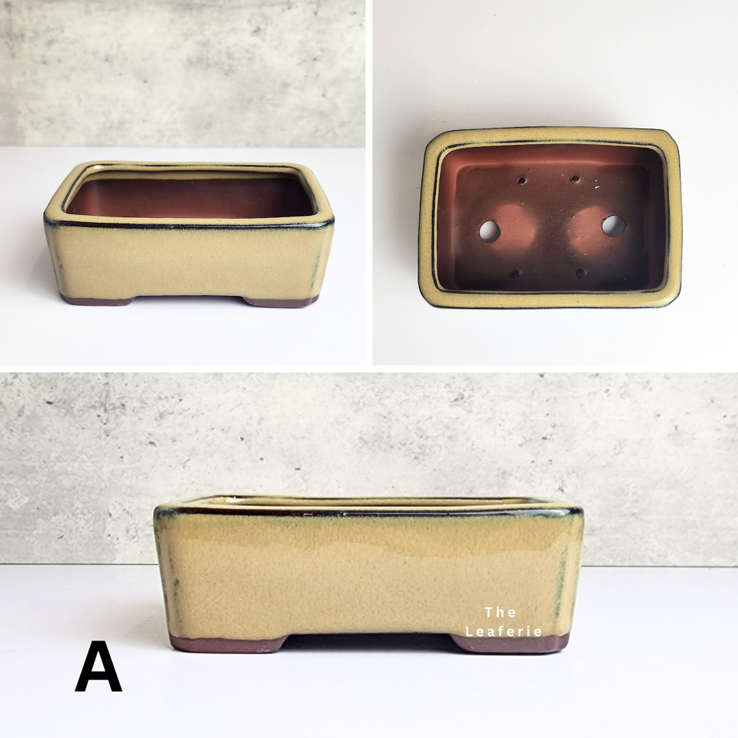 The Leaferie Petit Bonsai Series 9. rectangular bonsai pot. ceramic and 3 colours. front view of design A