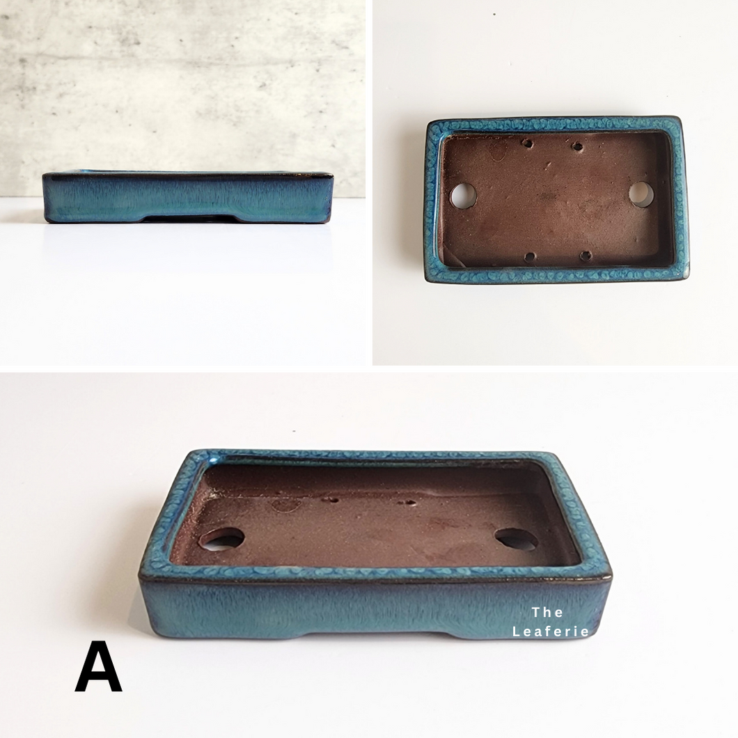 The Leaferie Bonsai Series 26. blue theme. 4 designs ceramic pot. photo of designs  A . rectangular shallow pot